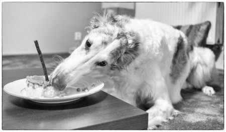 Rorynka oslavuje tretie narodeniny